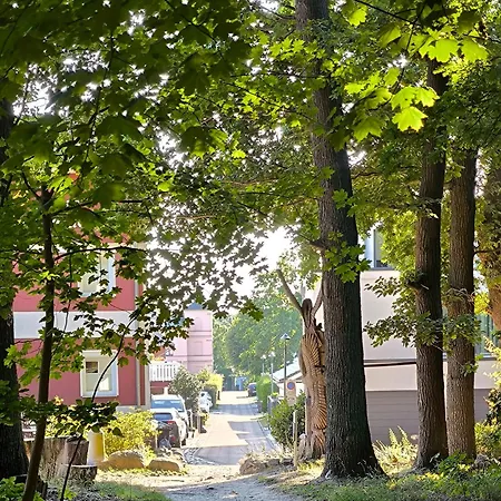 Haus Seeadler 11 Lägenhet